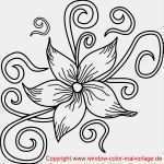 Türschilder Vorlagen Zum Ausdrucken Großartig Malvorlagen Zum Ausdrucken Vorlagen Zeichnen