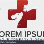 Tv Konzept Vorlage Cool Dog Vector Card Template Icon Stock S &amp; Dog Vector