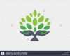 Tv Konzept Vorlage Fabelhaft Tree Green Nature Logo Stockfotos &amp; Tree Green Nature Logo