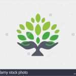 Tv Konzept Vorlage Fabelhaft Tree Green Nature Logo Stockfotos &amp; Tree Green Nature Logo