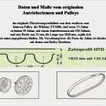 Typenschild Vorlage Download Großartig Gutachten Und Anbautips Wildstarfreunde Schleswig Holstein
