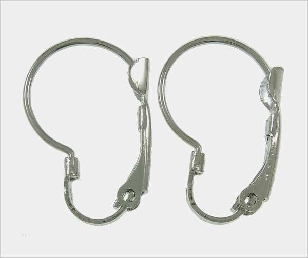 Typenschild Vorlage Word Wunderbar 20 Ohrhaken Fischhaken Ohrring Ohrfeder Altsilber 18mm