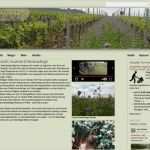 Typo3 Vorlagen Neu Typo3 Template Responsive Kostenlos Individuell