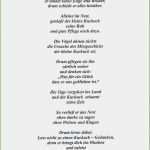 über Mich Text Vorlagen Inspiration über Mich Text Vorlagen 28 Elegante Fotografieren Du