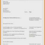 über Mich Vorlage Dating Angenehm 15 Ich über Mich Vorlage