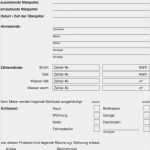 übergabeprotokoll Arbeitskleidung Vorlage Erstaunlich Wohnungsübergabeprotokoll Pdf