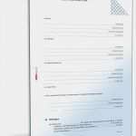 übernahme Küche Vormieter Vertrag Vorlage Fabelhaft übernahme Küche Vormieter Vertrag Vorlage – Kostenlos Vorlagen