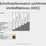 Umfeldanalyse Vorlage Excel Best Of Schnittstellenmatrix Sachlicher Umfeldfaktoren