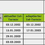 Umfeldanalyse Vorlage Excel Großartig Meilensteinplan