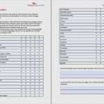 Umfrage Fragebogen Vorlage Einzigartig Feedback Fragebogen Vorlage Erstaunlich Magnificent