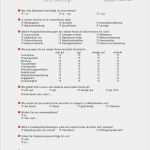 Umfrage Vorlage Beispiel Kundenbefragung Großartig Fragebogen Für Kundenbefragung – Kundenbefragung