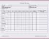 Umfrage Vorlage Word Elegant 16 Fragebogen Erstellen Excel