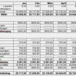 Umsatz Und Rentabilitätsvorschau Vorlage Best Of Businessplan Konzept Vorlage Kostenlos