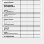 Umsatz Und Rentabilitätsvorschau Vorlage Cool Checkliste Zum Unternehmenskonzept Pdf