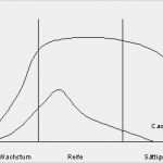 Umsatz Und Rentabilitätsvorschau Vorlage Elegant Produktlebenszyklus Analyse Kurve Definition
