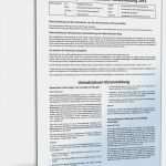 Umsatzsteuervoranmeldung Vorlage Erstaunlich Anleitung Zur Umsatzsteuervoranmeldung 2012 • De