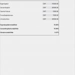 Umsatzvorschau Vorlage Neu Rentabilitätskennzahlen Berechnen Excel Vorlage Zum Download