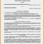 Unbefristeter Arbeitsvertrag Vorlage Großartig 7 Unbefristeter Arbeitsvertrag Muster Kostenlos