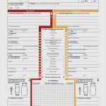 Unfallbericht Vorlage Word Cool 13 Unfallbericht Muster