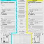 Unfallbericht Vorlage Word Genial Großzügig Mitarbeiter Unfallbericht Vorlage Fotos