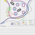 Unfallbericht Vorlage Word Schön 57 Schön Fotos Unfallbericht Vorlage Word