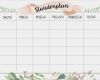 Uni Stundenplan Vorlage Pdf Genial Endlich Wieder Schule Kostenloser Stundenplan Zum