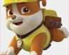 Untermieterlaubnis Vorlage Pdf Schön Tiermasken Vorlagen Kostenlos Rubble Van Paw Patrol Met