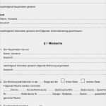 Untermietvertrag Wohnung Vorlage Best Of Kaufvertrag Gebrauchte Kuche Nachmieter