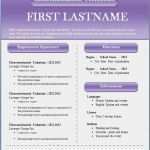 Unternehmenskonzept Vorlage Bewundernswert Businessplan Voorbeeld Word Afbeelding Cv format Doc 2015