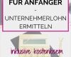 Unternehmenskonzept Vorlage Luxus Finanzplanung Für Anfänger Unternehmerlohn Ermitteln