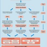Unterricht Planen Vorlage Beste Kmk Projekt Projekt 1 Naturwissenschaften