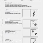 Unterrichtsentwurf Vorlage Grundschule Neu Schön Wer Bin Ich Arbeitsblatt Galerie Mathe