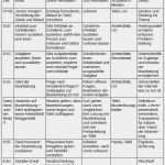 Unterrichtsverlaufsplan Vorlage Cool 8 Klasse