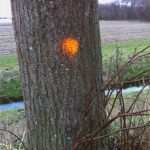 Unterschriften Petition Vorlage Elegant Petitionen Unterschriften Archive Agenda21senden