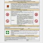 Unterweisung Arbeitsschutz Vorlage Angenehm Nett Betriebsanweisung Küche Bildergalerie Unterweisung