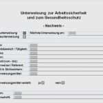 Unterweisung Arbeitsschutz Vorlage Süß Unterweisung Arbeitssicherheit Vorlage Inspiration