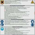 Unterweisung Kranführer Vorlage Schönste Unterweisung Kranführer Vorlage Neu Unterweisung