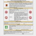 Unterweisung Ladungssicherung Vorlage Cool Wunderbar Betriebsanweisungen Vorlage Zeitgenössisch