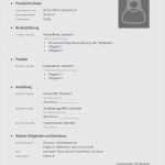 Unterweisung Ladungssicherung Vorlage Fabelhaft 57 Süß Lebenslauf Bewerbung Vorlage Ideen