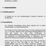 Unterweisung Nach Bgv A1 Vorlage Elegant Lehrlingsunterweisung Meisterprüfung Muster – Häuser