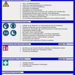 Unterweisung Persönliche Schutzausrüstung Vorlage Wunderbar Unterweisungen & Schulungen Mit Ihs