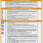 Unterweisung Vorlage Word Fabelhaft ifa Praktische Hilfen Gefährliche Container