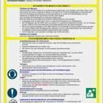 Unterweisung Vorlage Word Großartig Muster Betriebsanweisungen Plus Weka Media