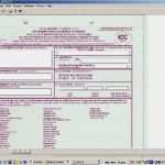 Ups Frachtbrief Vorlage Best Of Anyform Kostenlose formularvorlagen Für Zollformulare