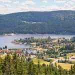 Ups Frachtbrief Vorlage Fabelhaft Erfreut Taubenmuster Vorlage Fotos Beispiel Business