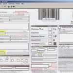 Ups Frachtbrief Vorlage Luxus Anyform Kostenlose formularvorlagen Für Zollformulare