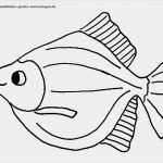 Urheberrecht Vorlage Angenehm Kostenlose Malvorlagen Fische