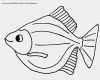 Urheberrecht Vorlage Best Of Kostenlose Malvorlagen Fische