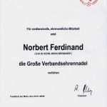 Urkunde Ehrenamt Vorlage Cool Djk Vorlage