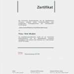 Urkunde Ehrenamt Vorlage Schönste Vom Ehrenamt Zum Hauptberuf Berufsbetreuer Mit